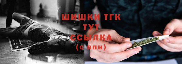 бошки Алексин