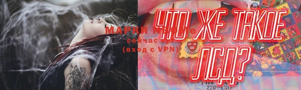 ГАЛЛЮЦИНОГЕННЫЕ ГРИБЫ Арсеньев