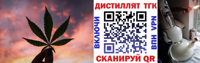 Купить  Карачев  ТГК концентрат 