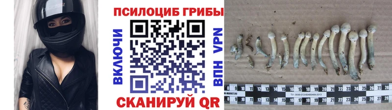 Купить где  Карачев  Галлюциногенные грибы мухоморы 